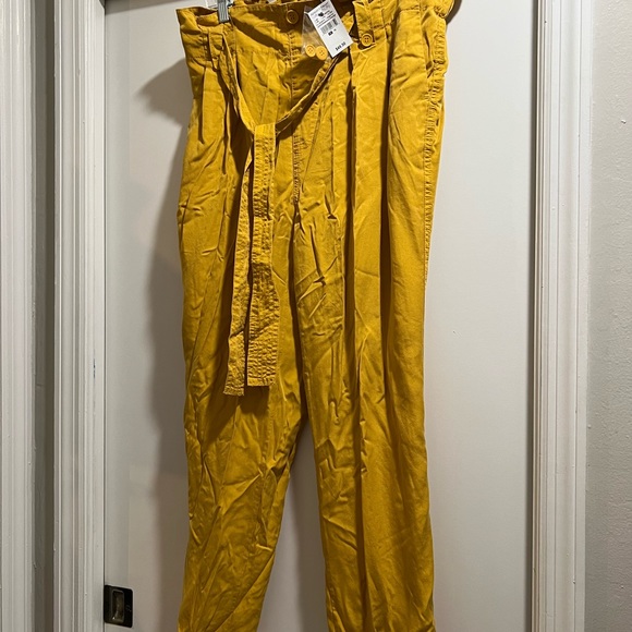 Size 20 NWT Paperbag Gold Pants, Elastic Waist - Picture 5 of 8